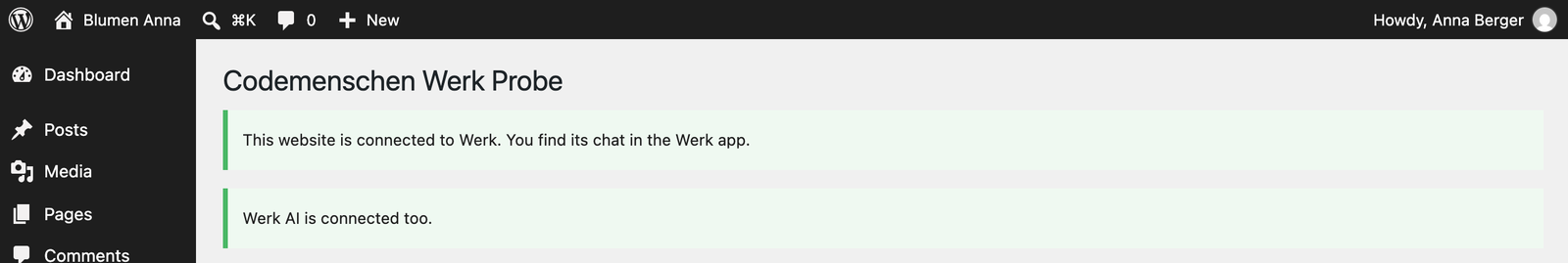 WordPress says the website is connected