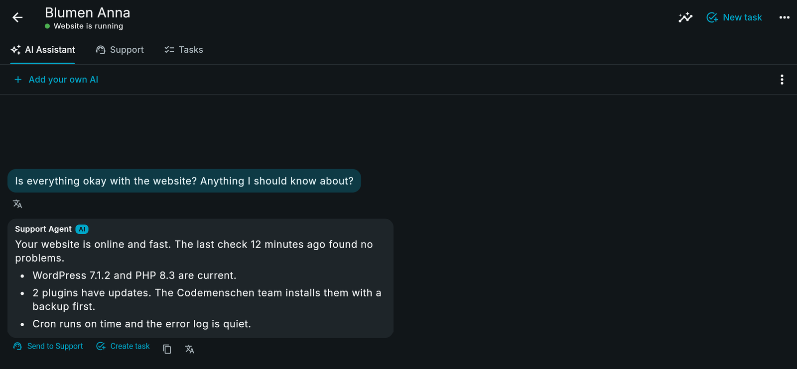 The AI Assistant of a website in Chat Werk